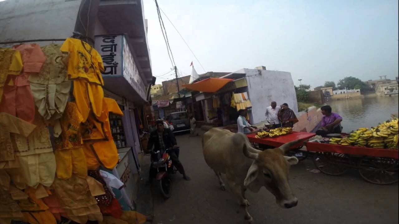 Radhakunda Parikrama