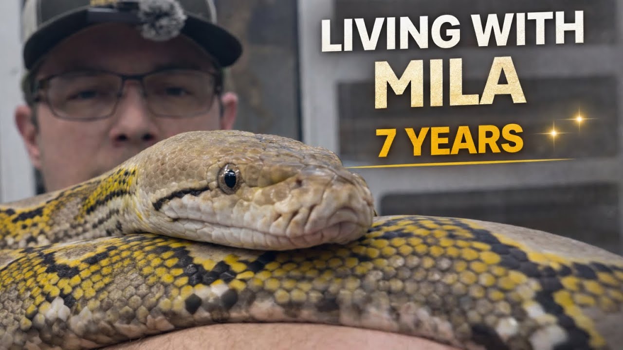 Seven Years With Mila | Animal Spotlight Series