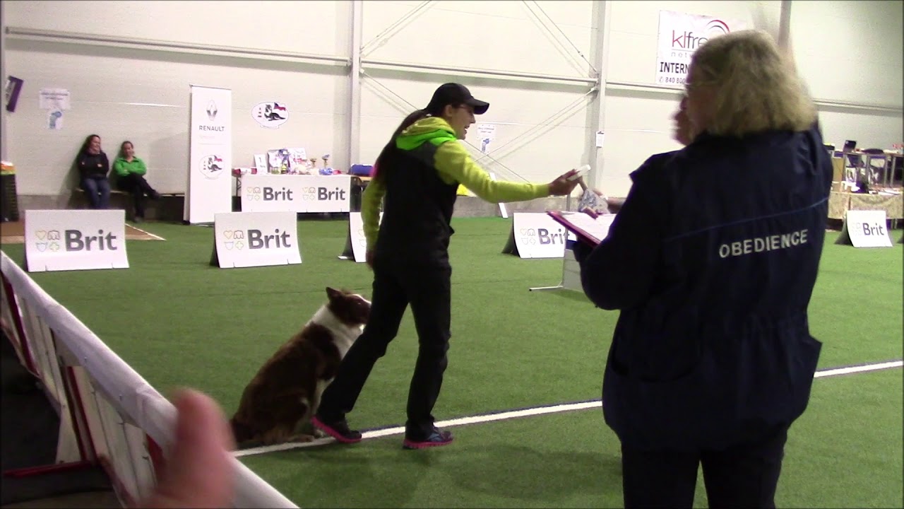 MČR Obedience 2019 Tay