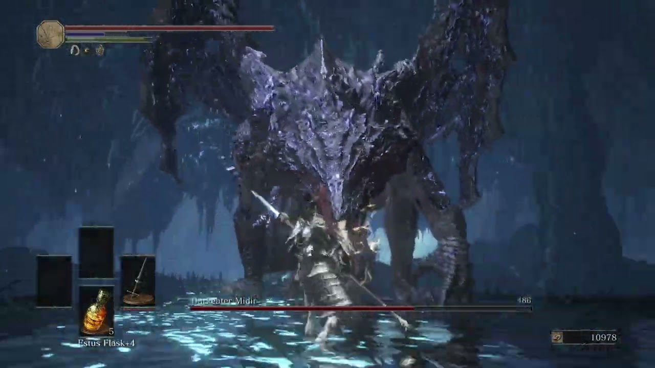 Dragonslayer Ornstein vs Darkeater midir