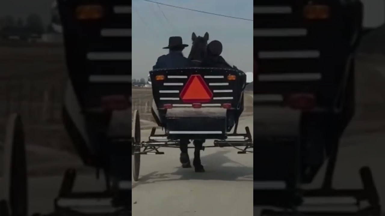 Amish Wagon Повозка Амишей в Америке США