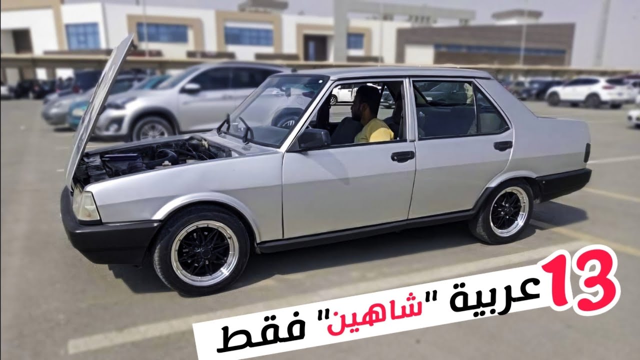 السيارة المصرية الاقتصادية!! ١٦ عربية شااهين 
