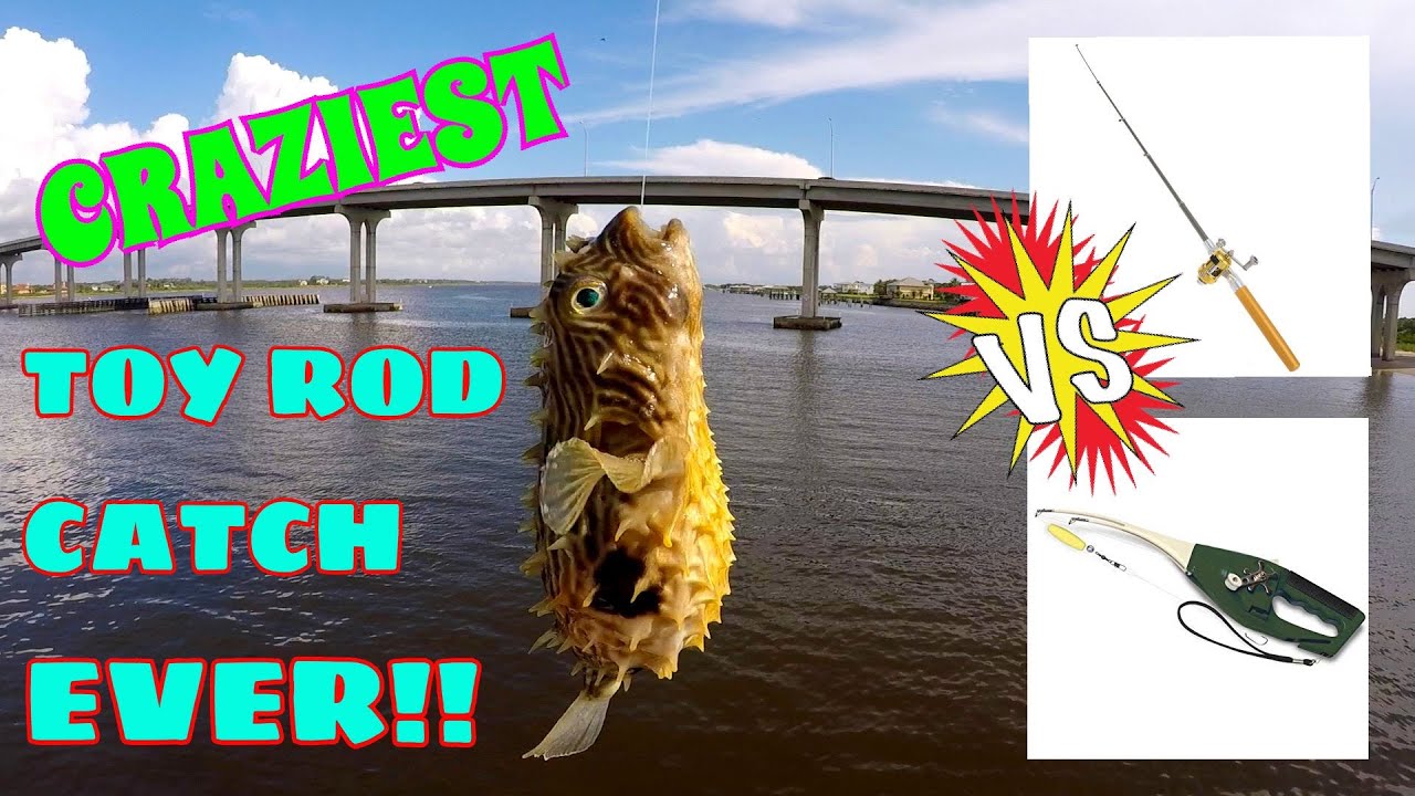 Pen Fishing Rod VS Pocket Fishing Rod!! OCEAN Fishing Challenge!! (Catches STRANGE Fish)