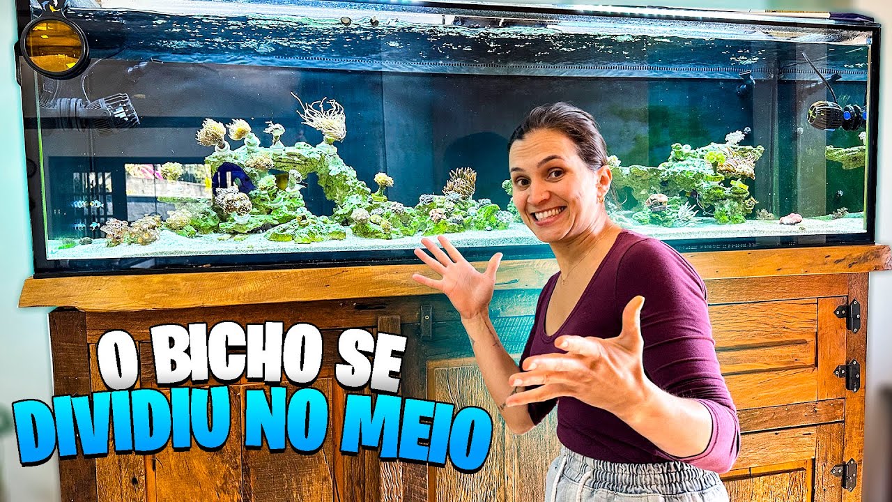 VOCÊ PRECISA VER AS NOVIDADES DO AQUÁRIO MARINHO, SURREAL O QUE ACONTECEU !