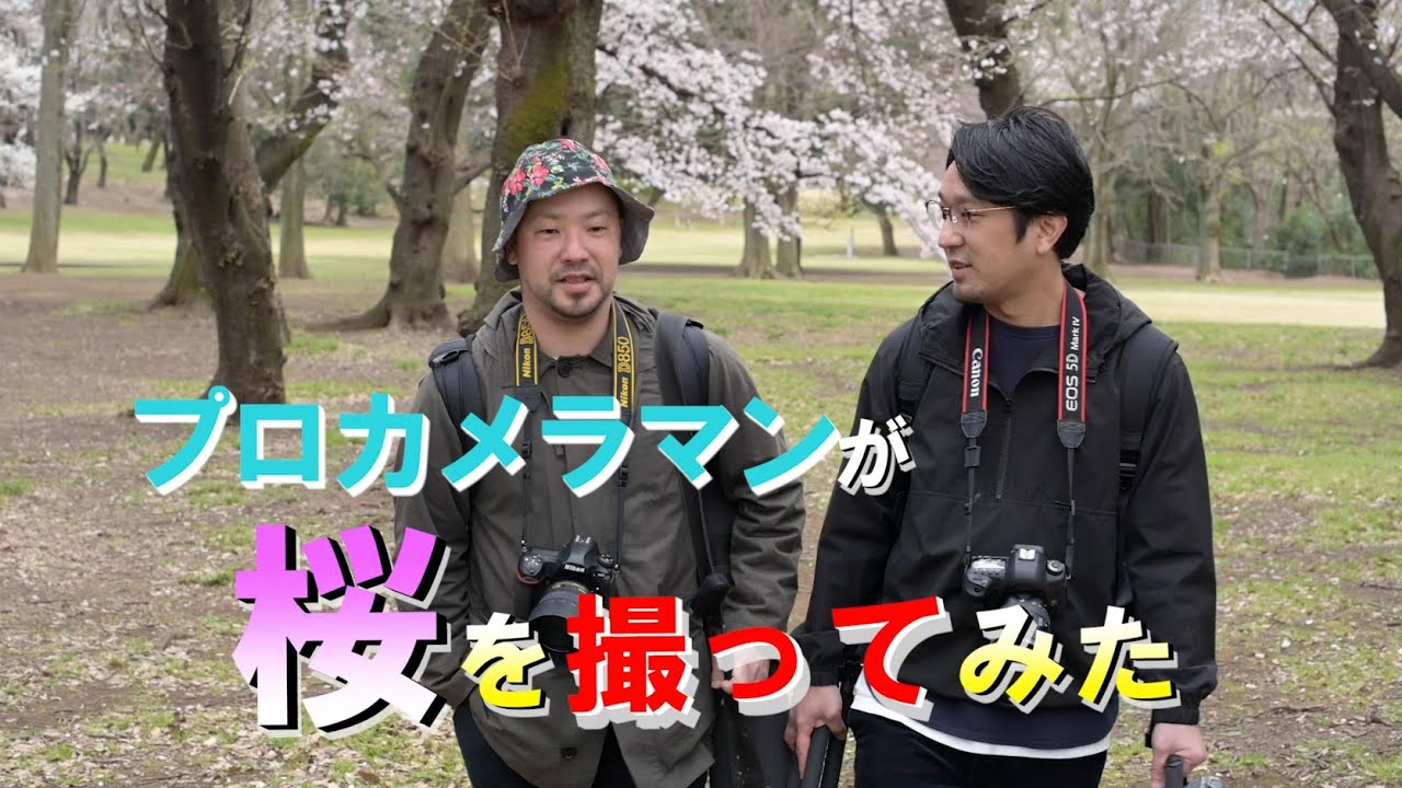 プロカメラマンが桜を撮ってみた！！