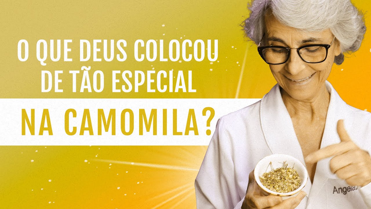 Camomila: ser&aacute; que ela &eacute; s&oacute; calmante? E quanto a press&atilde;o arterial e o emagrecimento?