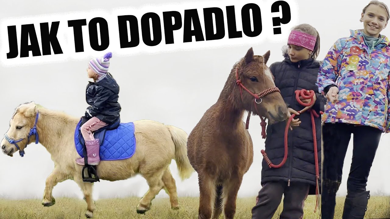 Děti a PRVNÍ jízda na poníkovi 🦄 Jejich reakce vás dostane !