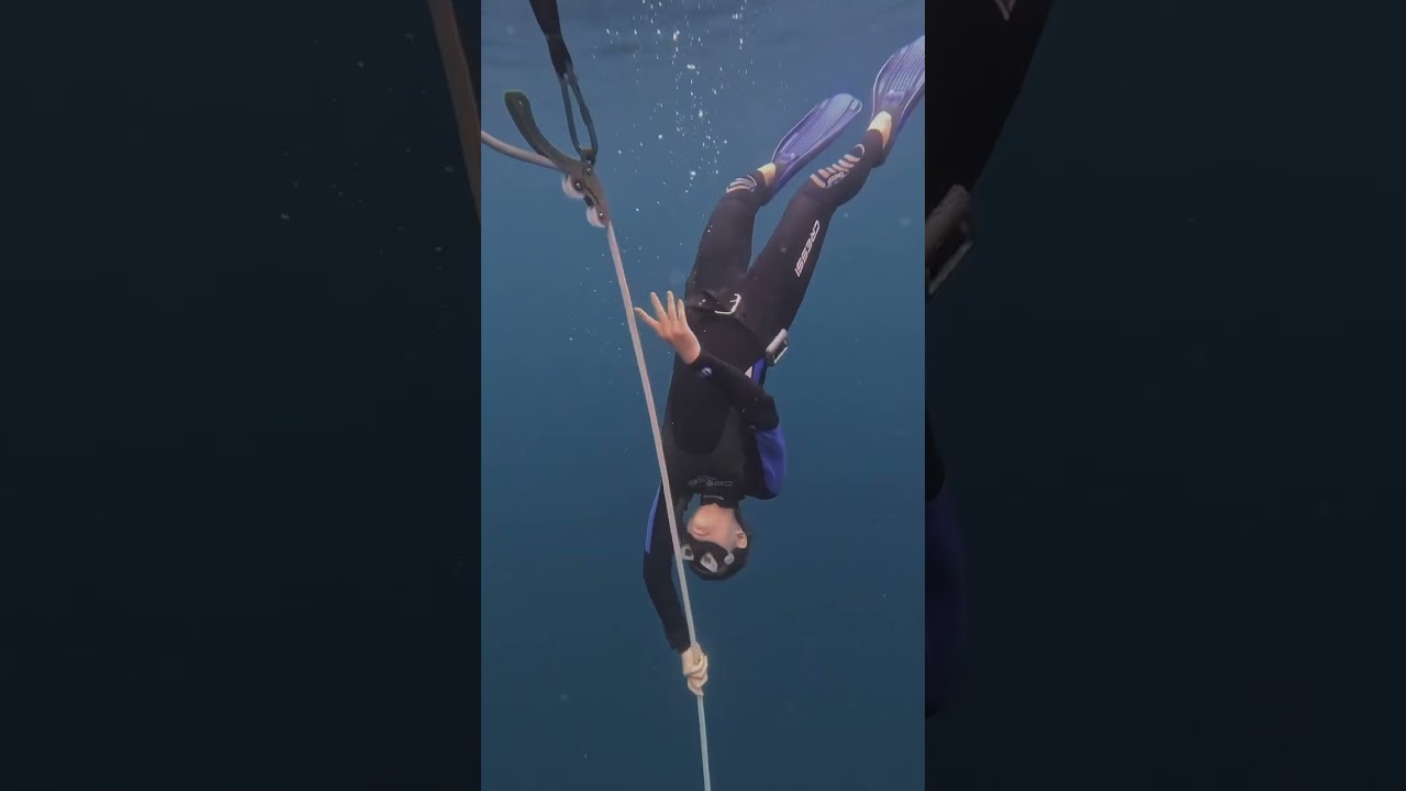 So happy to see you again! keep coming back  #freedivingvideo