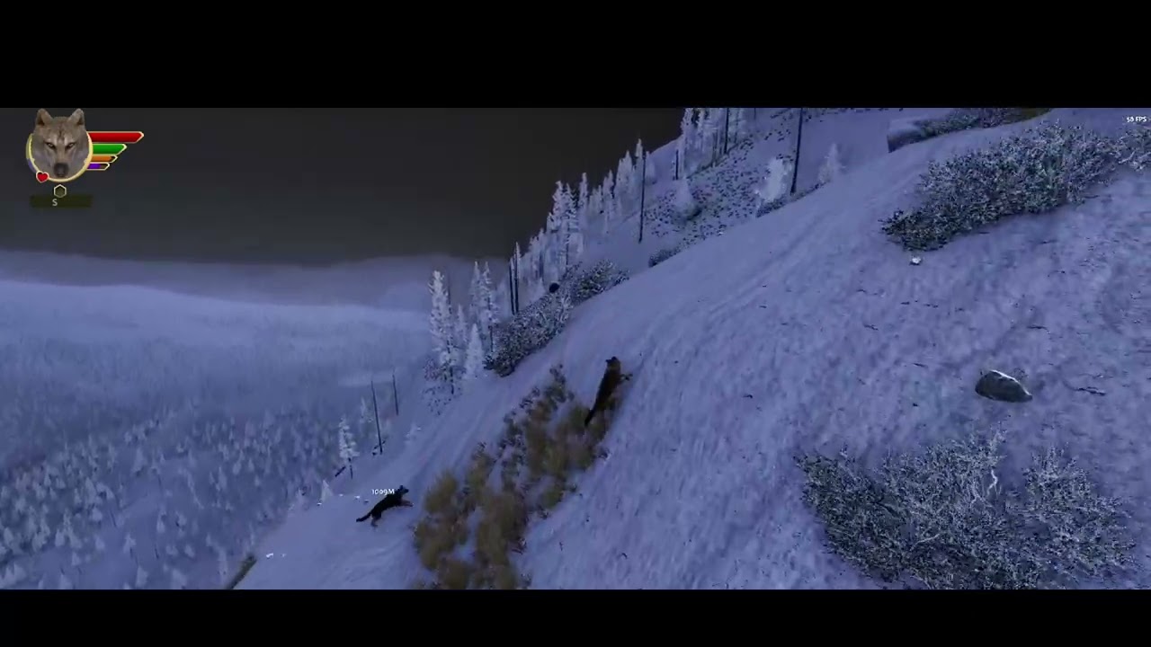 A Mate. | WolfQuest Ultra Iron Wolf Challenge Saga Year 1 #2