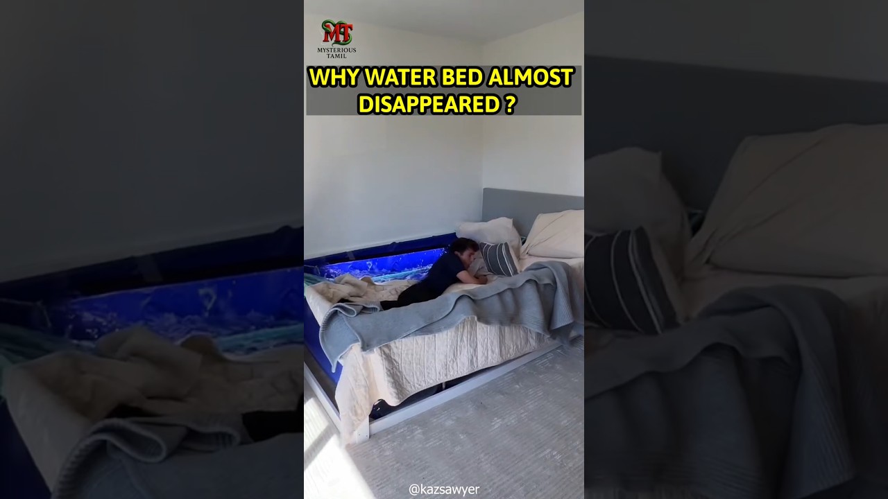 ஏன் water bed அதிகமாக பயன்பாட்டில் இல்லை /#tamilfacts #tamilnews #tamil #shorts #facts #viral