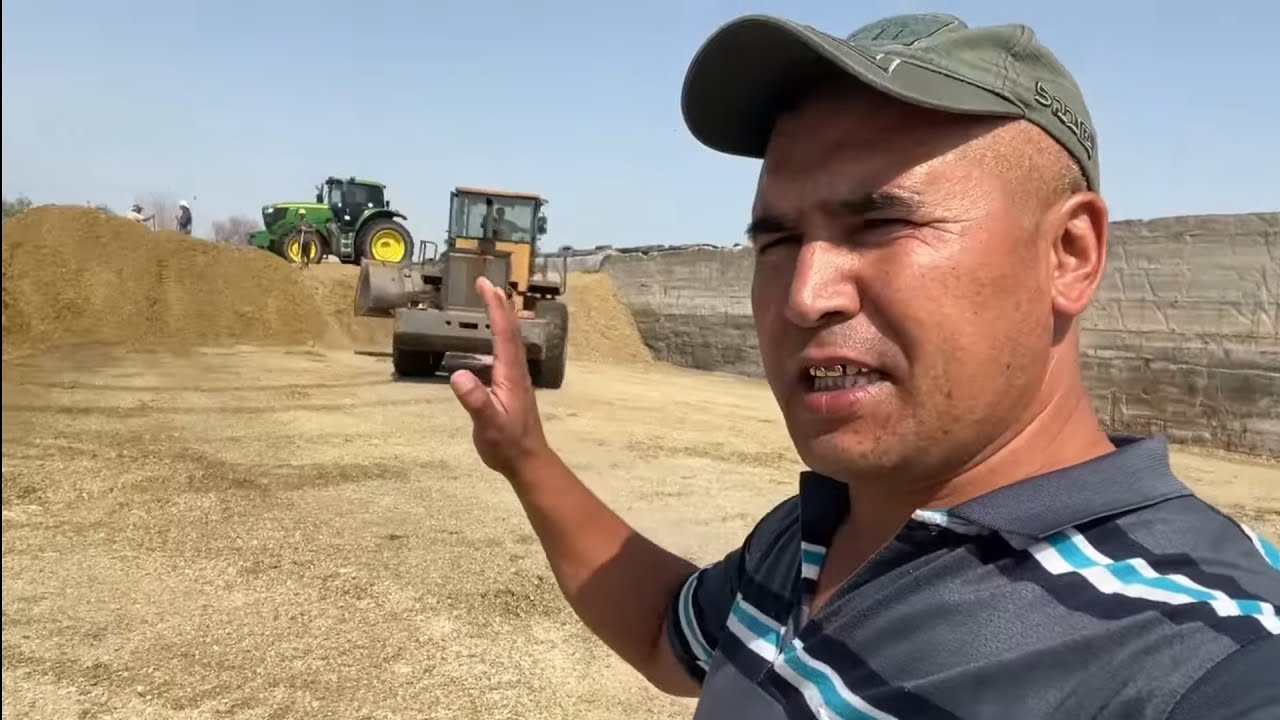 Silos bosishda yutuq va kamchiliklar kõring 