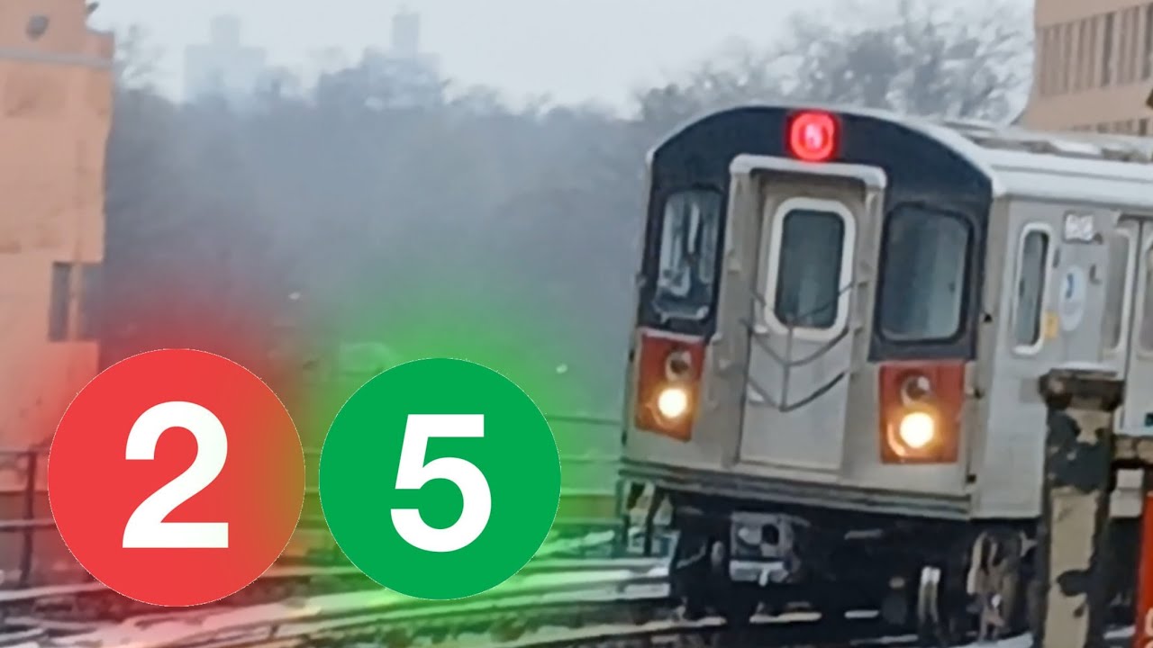[MTA NYC WHITE PLAINS ROAD LINE:]  (2) and (5) TRAIN ACTION AT WEST FARMS SQUARE E TREMONT AVE PT 3