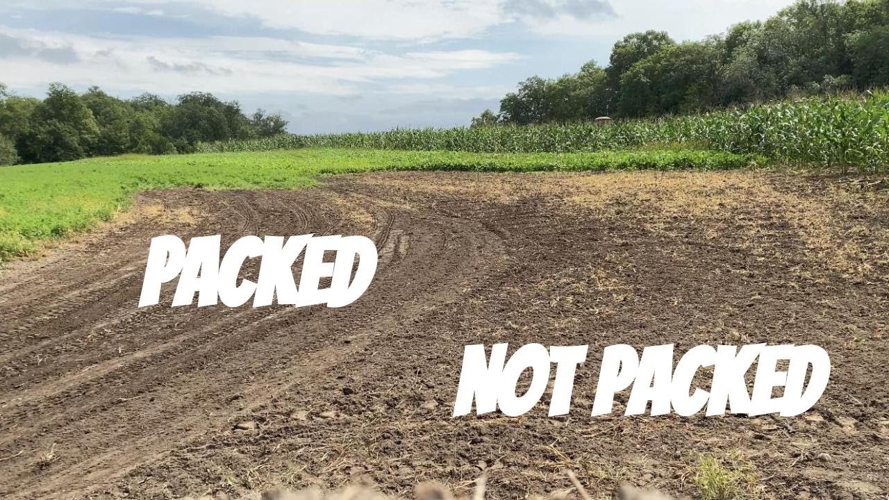 IS CULTIPACKING WORTH YOUR TIME? Forage oat test plot complete with 2 and 3 week growth updates!!!