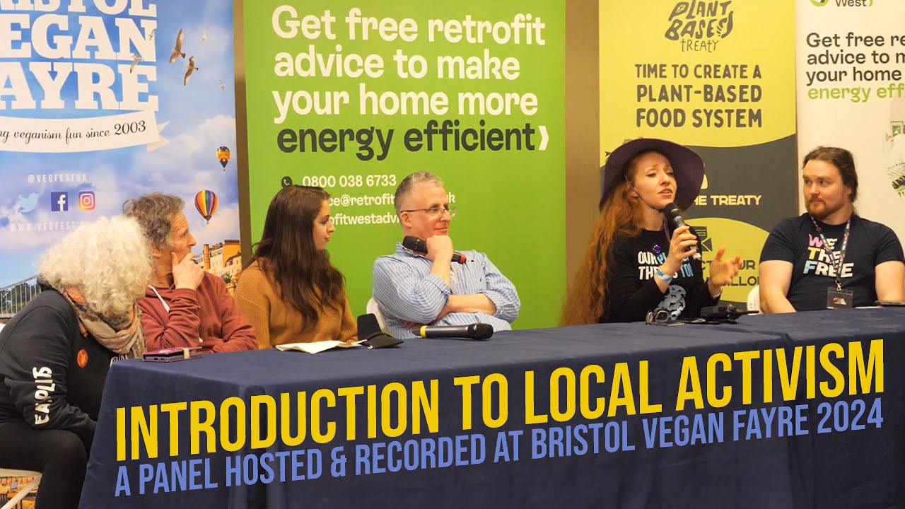 'Introduction to Local Activism' panel at Bristol Vegan Fayre Spring 2024