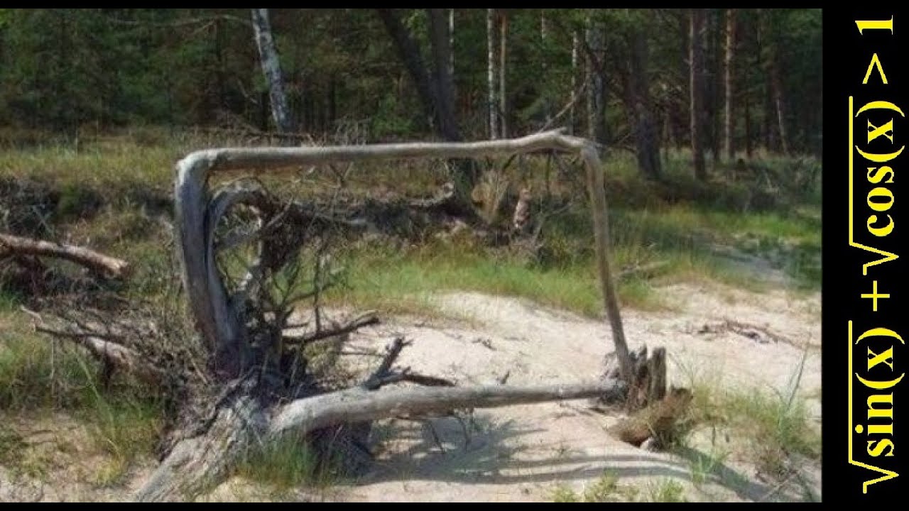 Зри в корень.