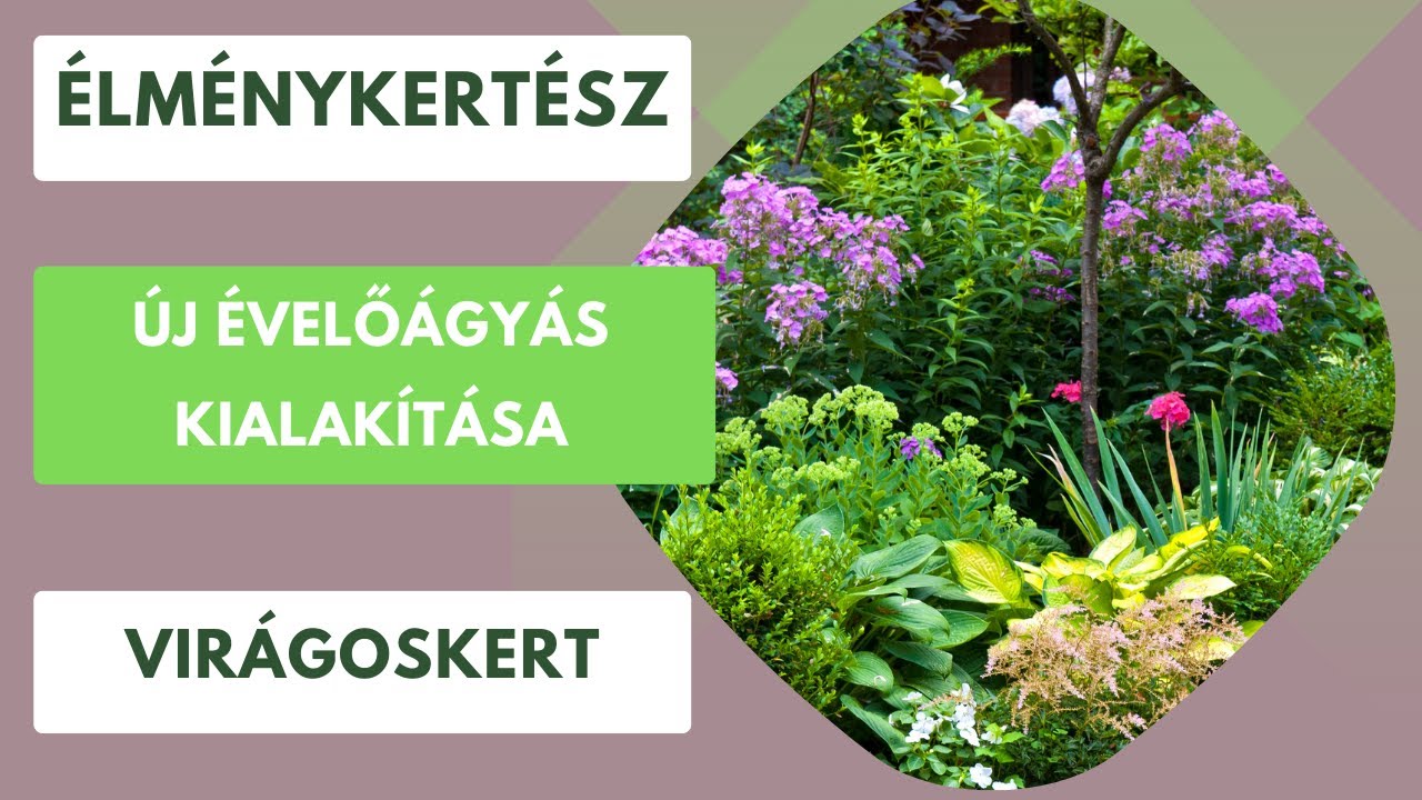 Új virágágyás a kertben🌸🌼