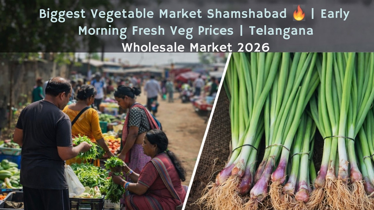 Biggest Vegetable Market Shamshabad🔥 | Early Morning Fresh Veg Prices | Telangana Wholesale Market