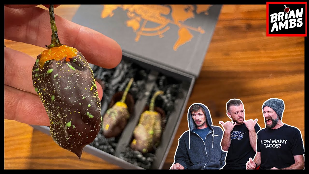 Chocolate Covered Scotch Bonnet Peppers! | I'm so sorry guys....
