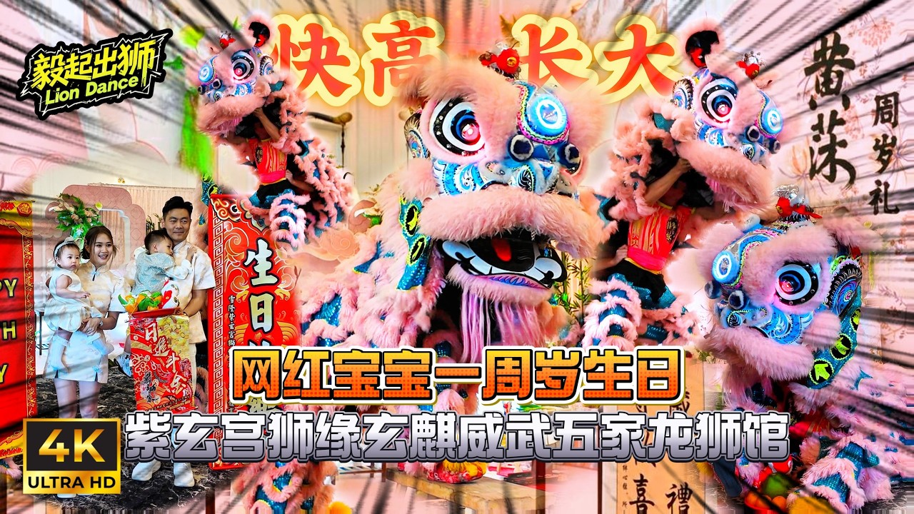 🇲🇾2026 CNY | Lion Dance 网红宝宝1周岁生日 by 紫玄宫狮缘 | 众多网红 | 萌狮表演 | 舞狮采青 | 逗乐群众 @Forest Valley Hall