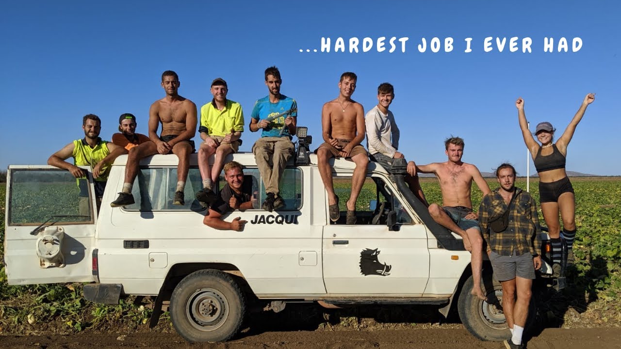 FARMWORK DAY IN MY LIFE // working on a pumpkin farm with 10 boys