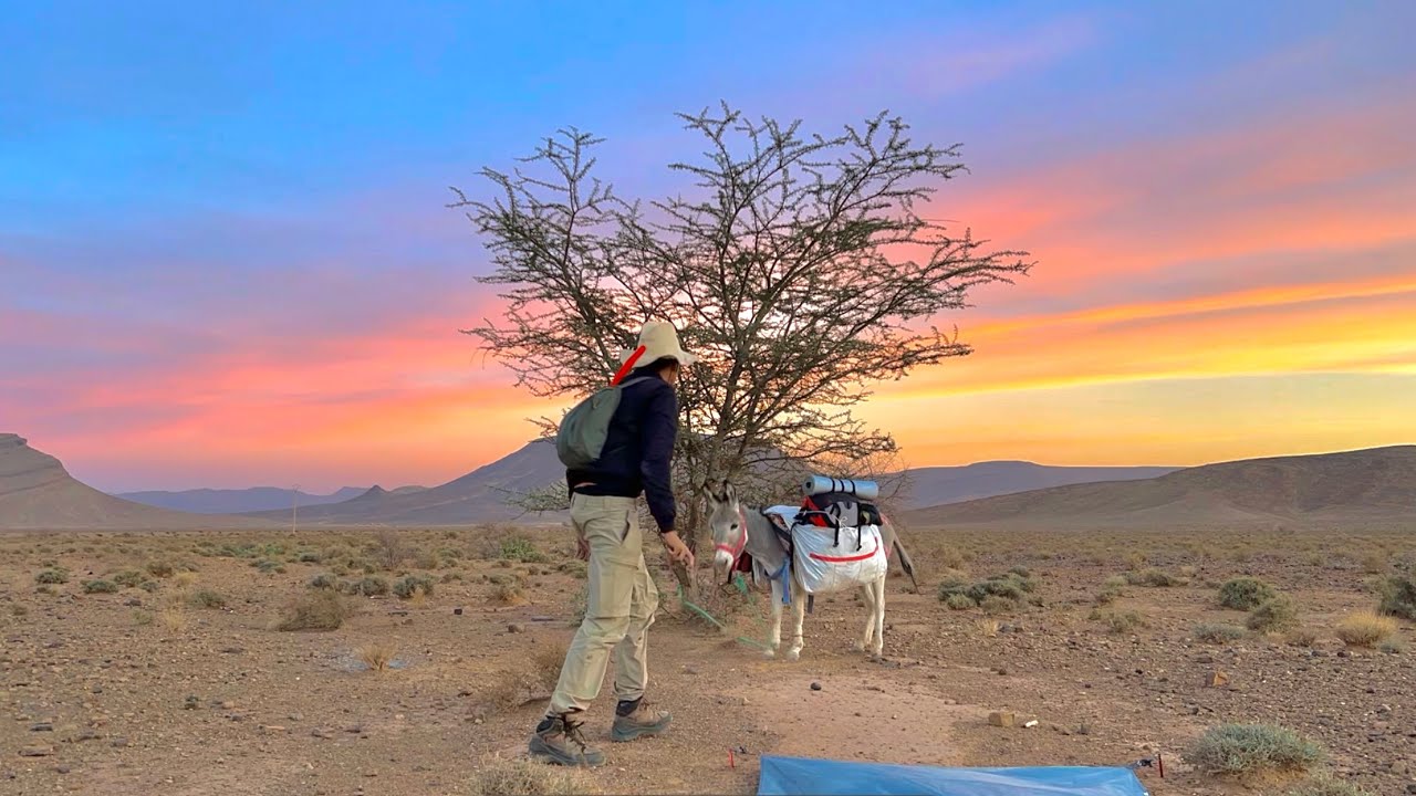 #VLOG60 | تهت وسط الصحراء🏜أنا و خوان . و فالليل خرجلي أبو فانوس😱💡