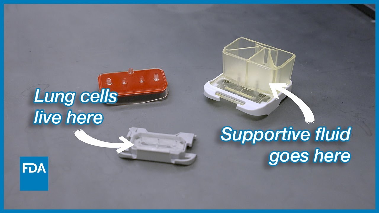 How FDA is Using 