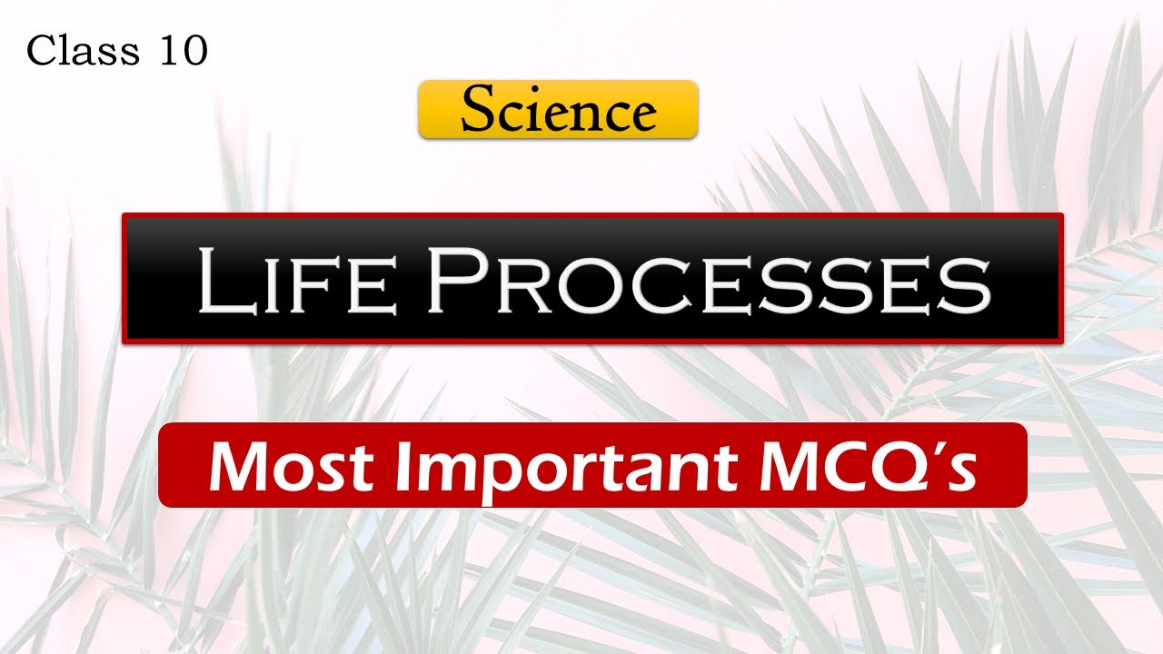 MCQ Life Processes | Class 10 | Science