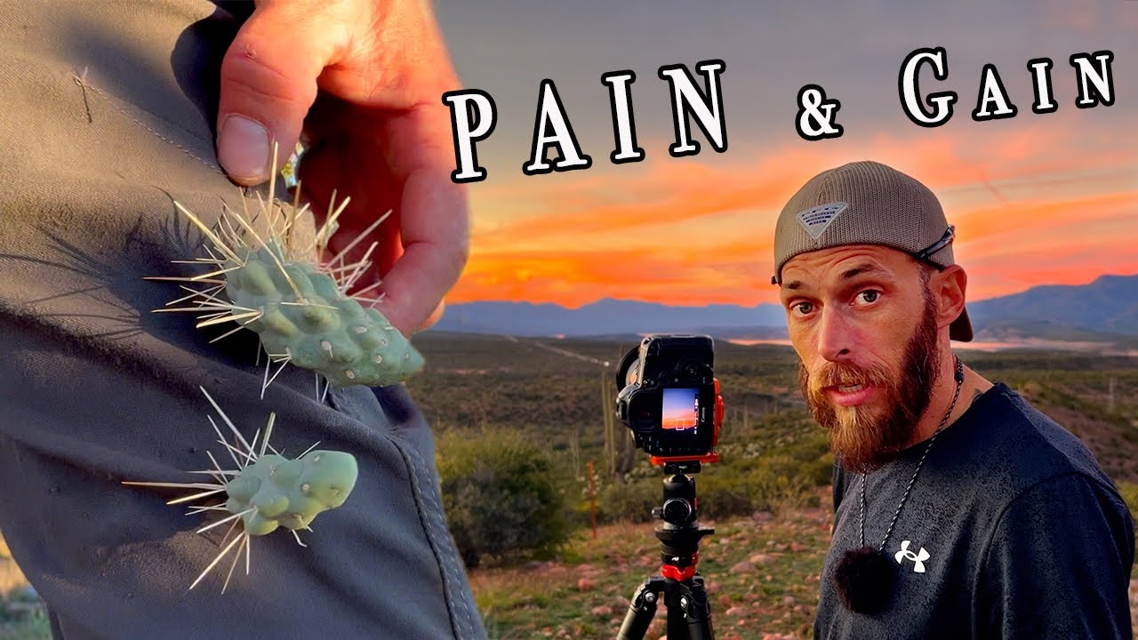 The Desert Fought Back, Then This Happened