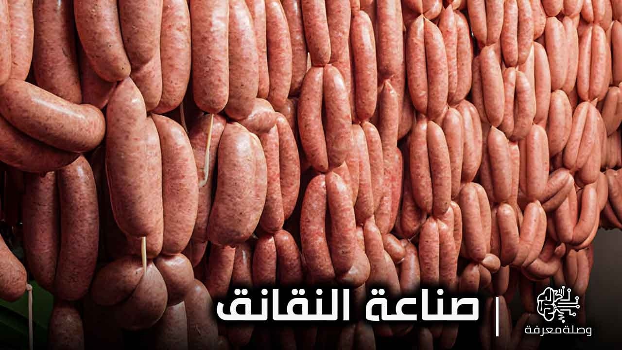 صناعة النقانق داخل المصنع | تصنيع الهوت دوج | إنتاج السجق