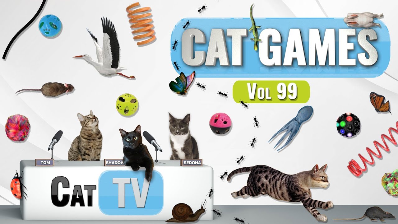 CAT Games | Ultimate Cat TV Compilation Vol 99 | 6 ЧАСОВ 🐝🐞🦋🦎🦜🐜🐭🧵