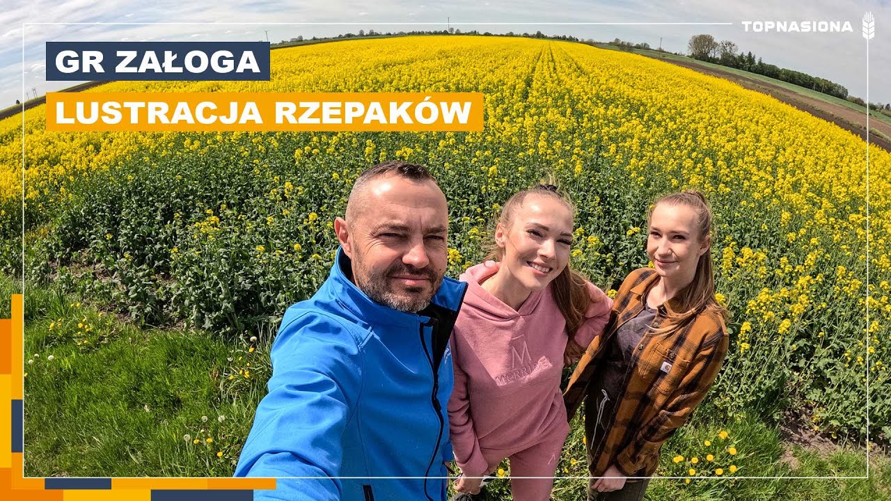 🌱 GR Załoga - Lustracja rzepaków Guzzi i Onca | Top Nasiona