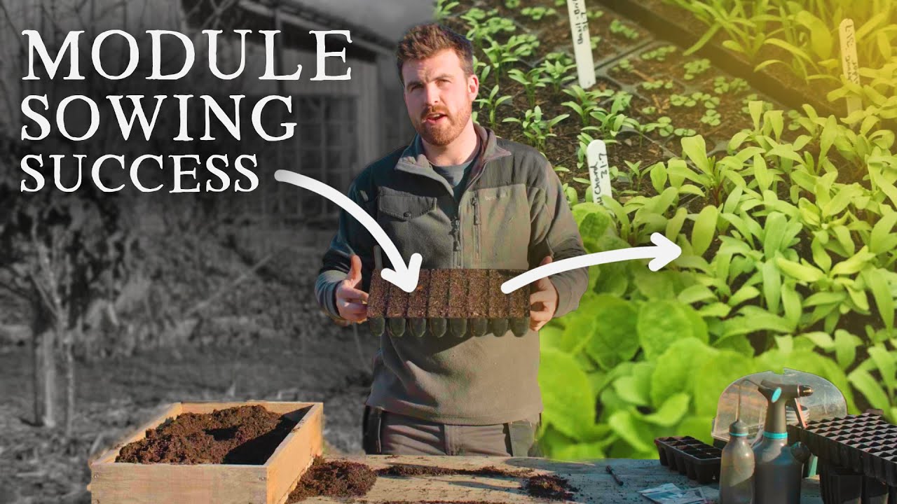 The One Module Tray for Starting 92% Of Crops (And Sowing Demo)