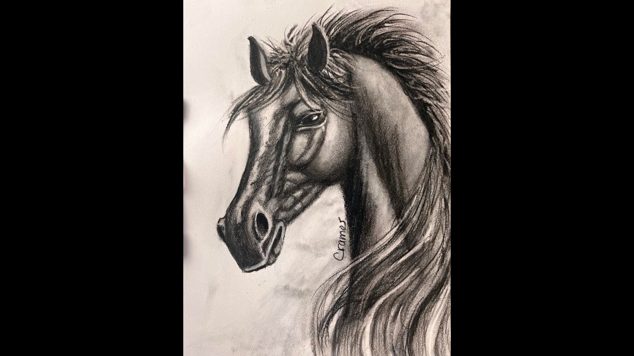 COMO DIBUJAR CABEZA DE UN CABALLO CON CARBONCILLO