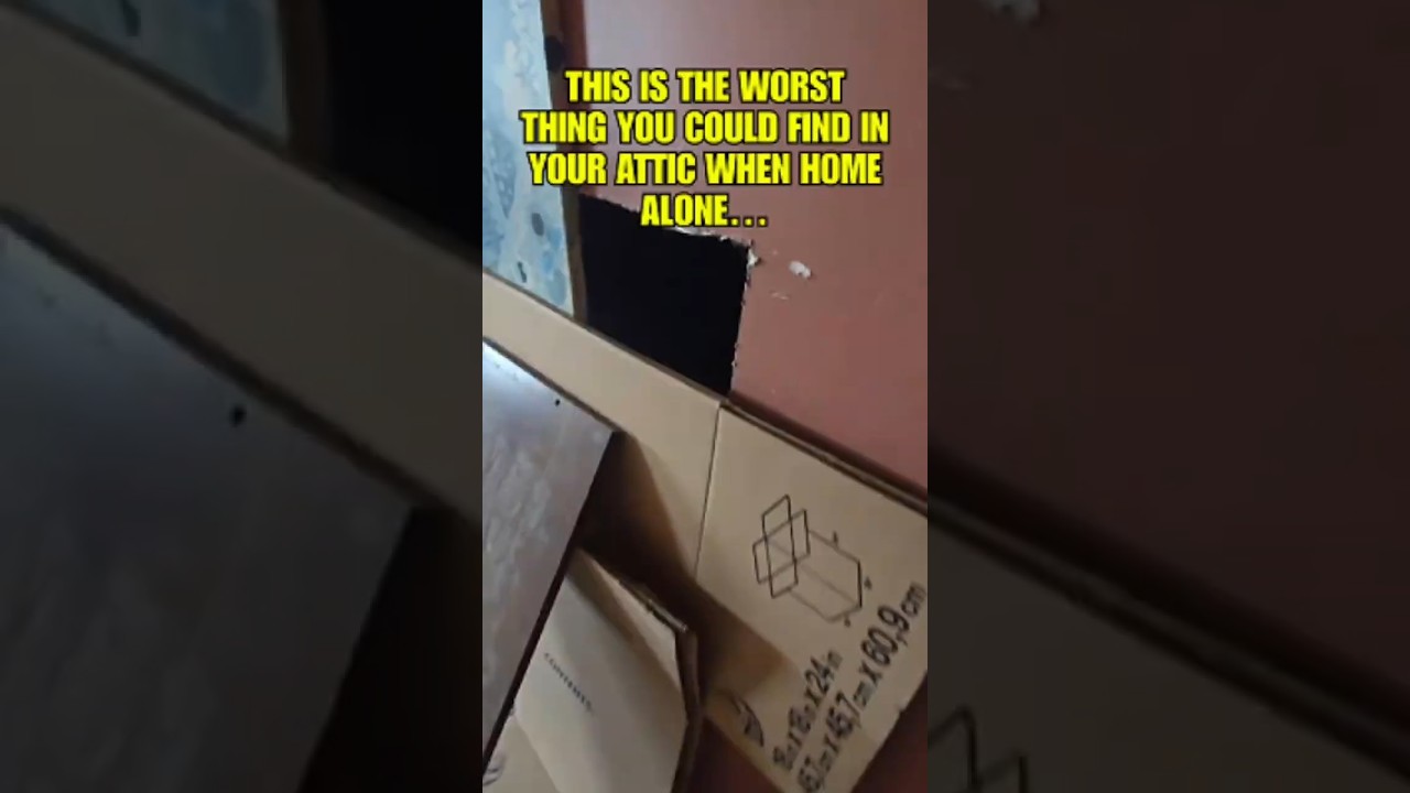 This is The Worst Thing You Could Find in Your Attic...