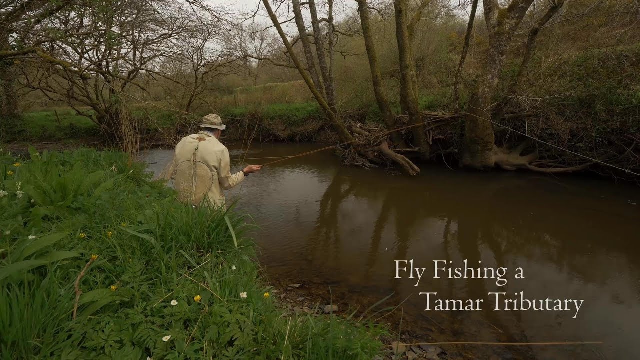 Fly Fishing a Tamar Tributary