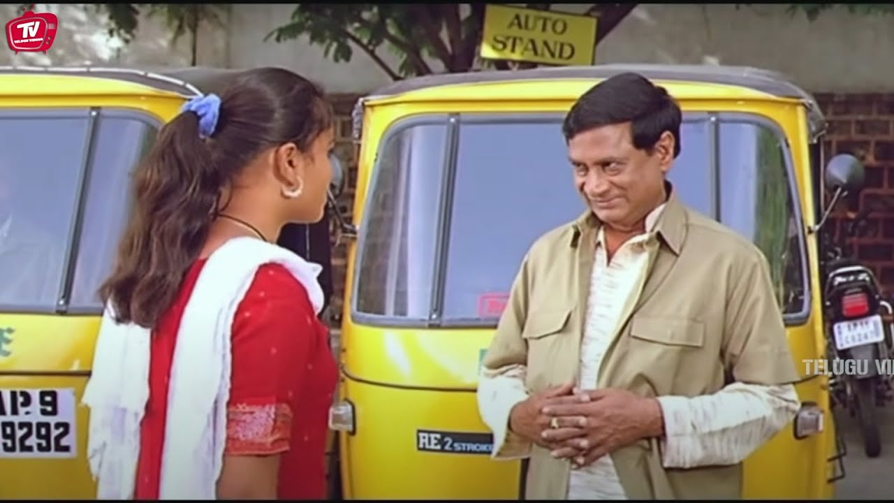 Ms Narayana Funny Auto Stand Best Comedy Scene | Funny Videos | @TeluguVideoZ