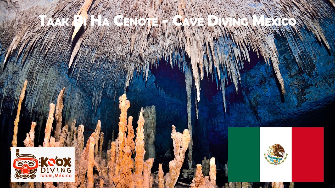 Taak Bi Ha Cenote - Cave Diving Mexico