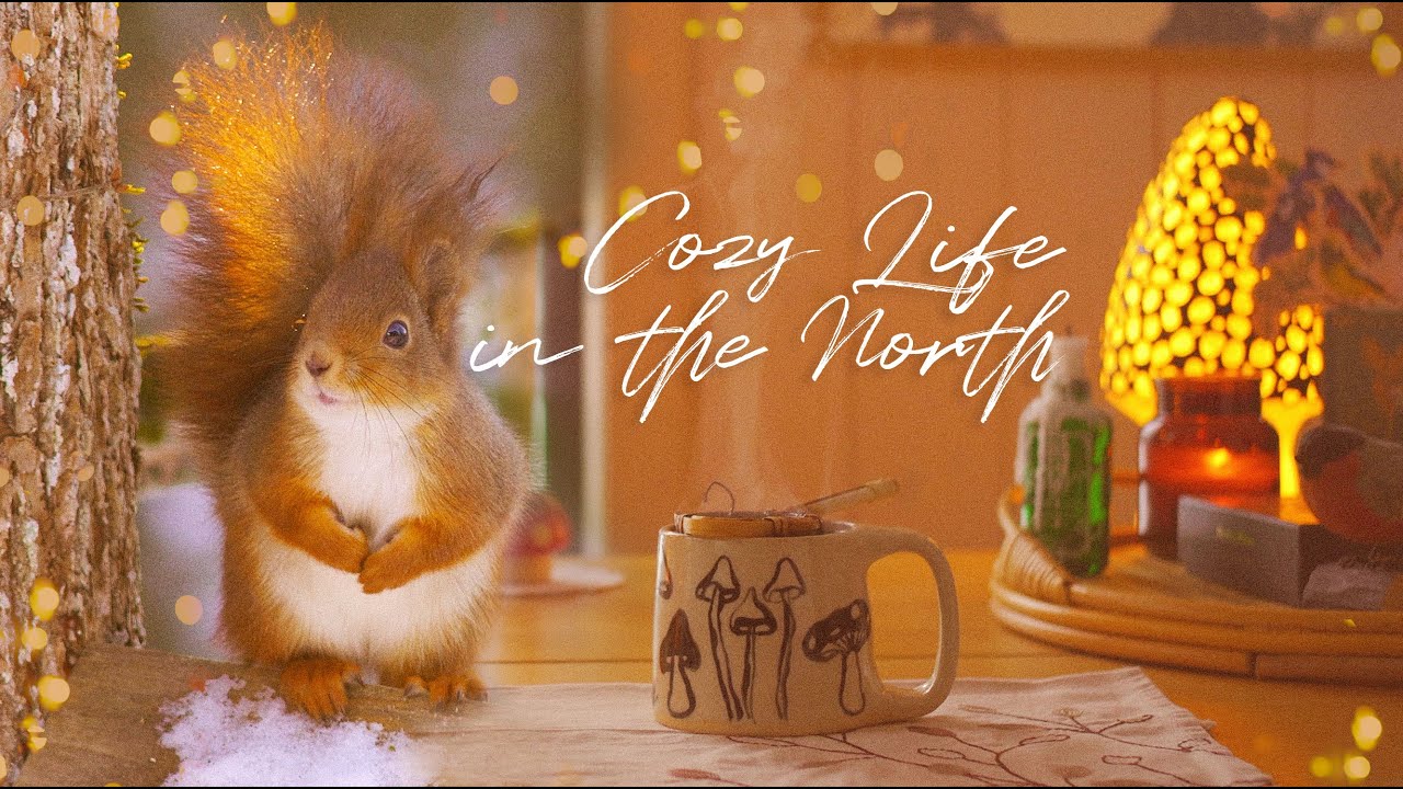 My Quiet Life at the Forest Cabin – Cozy Baking, Painting, Nature Walks Norway– Slow Living Vlog
