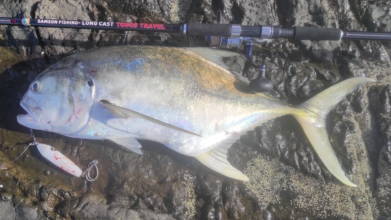 Testing the Samson Long Cast Travel Rod In Central America -  pt 1 Jacks