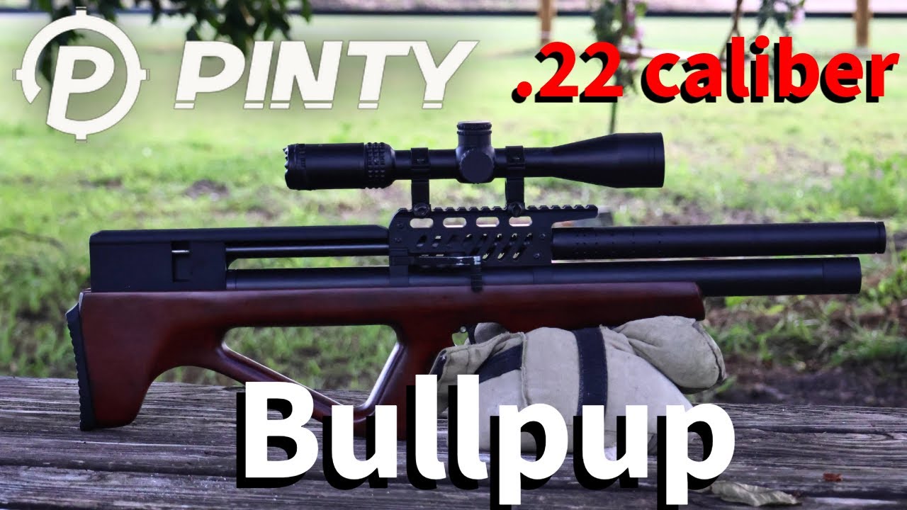 Reviewing the New Pinty Bullpup! (.22 caliber bullpup)