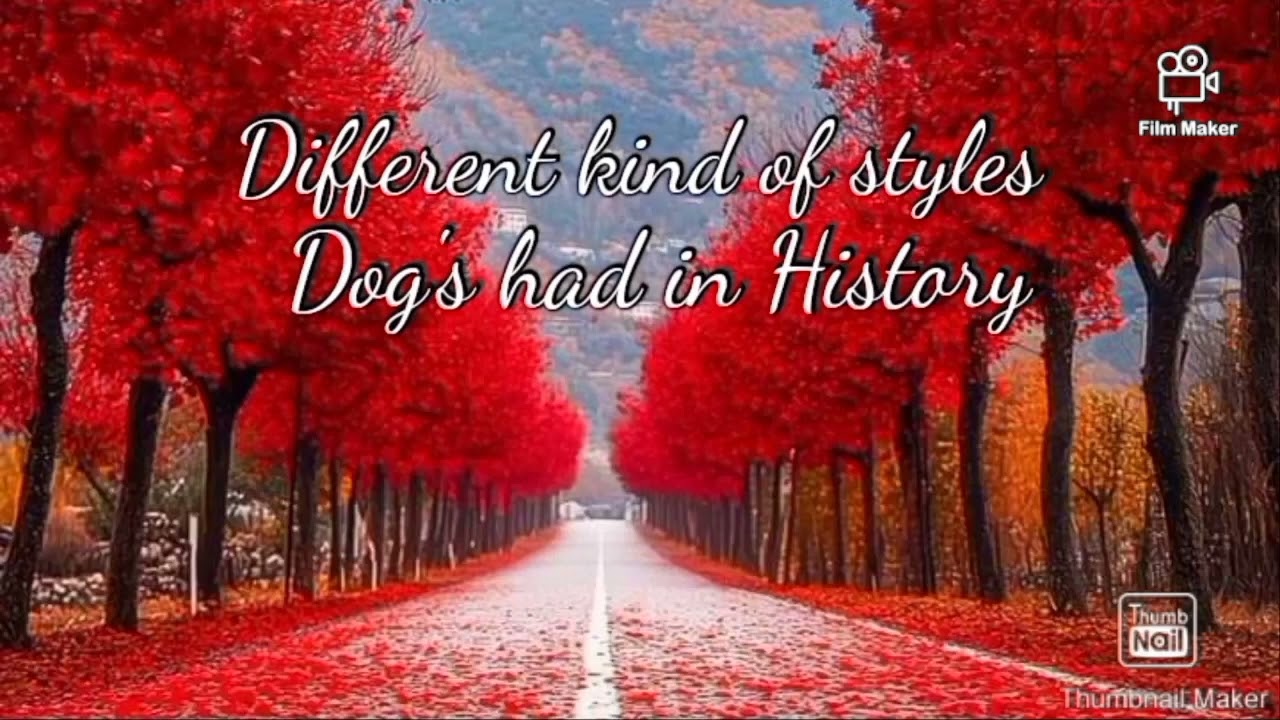 Hard Mouth Dog's the History #apbt #realapbt #doglover