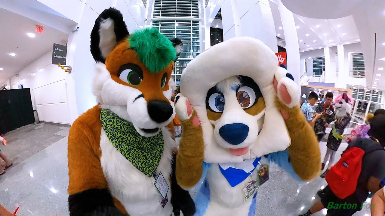 Another Furry Con 2024 (AFC 2024) - Random Clips