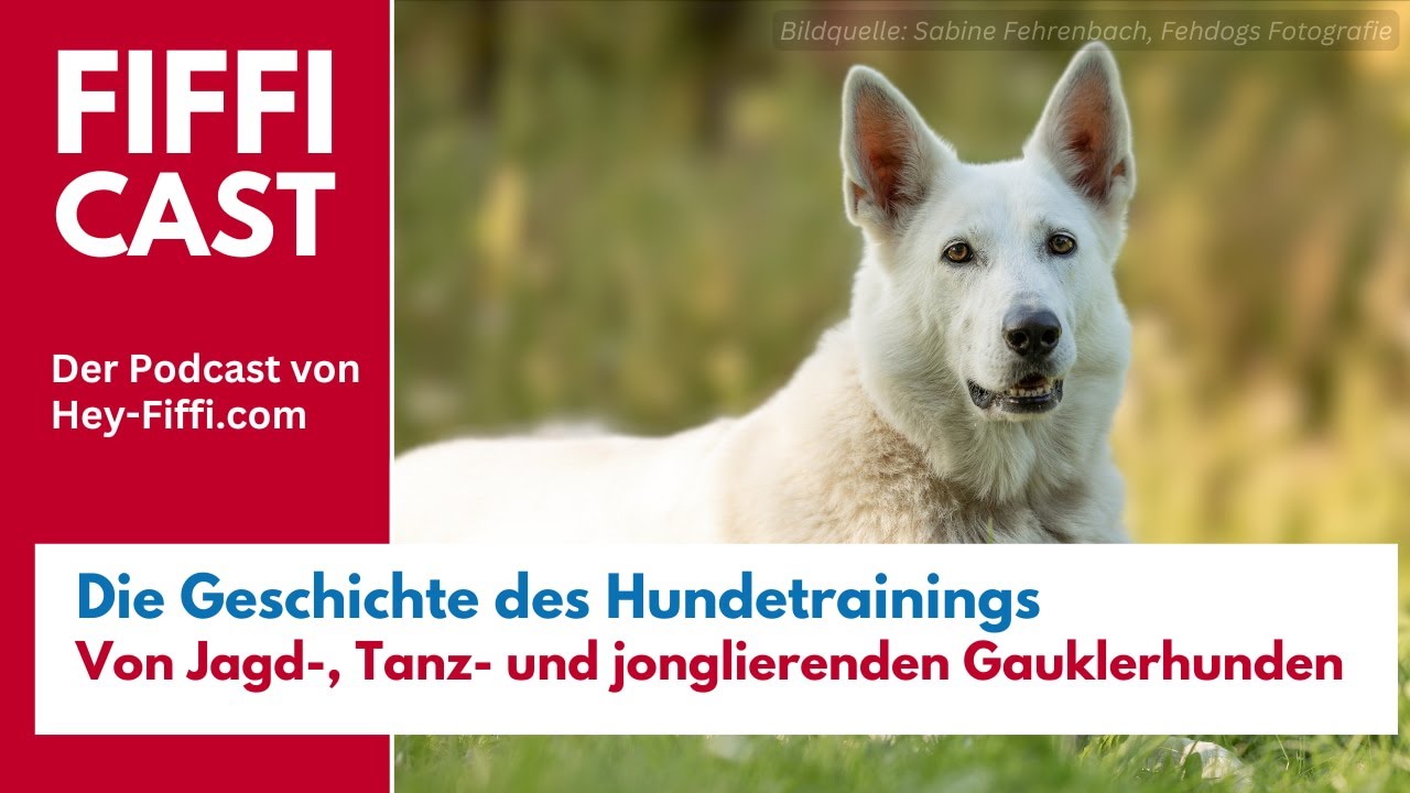 Die Geschichte des Hundetrainings, Teil 2: Von Jagd-, Tanz- und jonglierenden Gauklerhunden