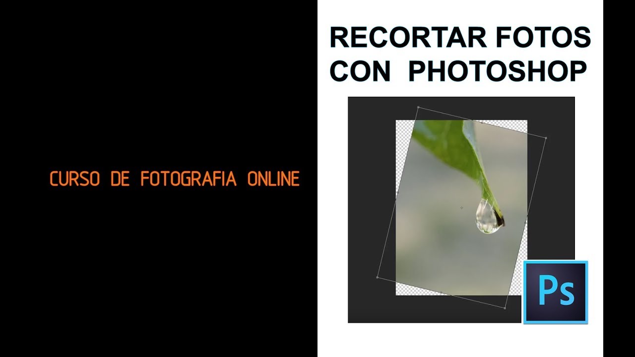 05 Recortar fotografias