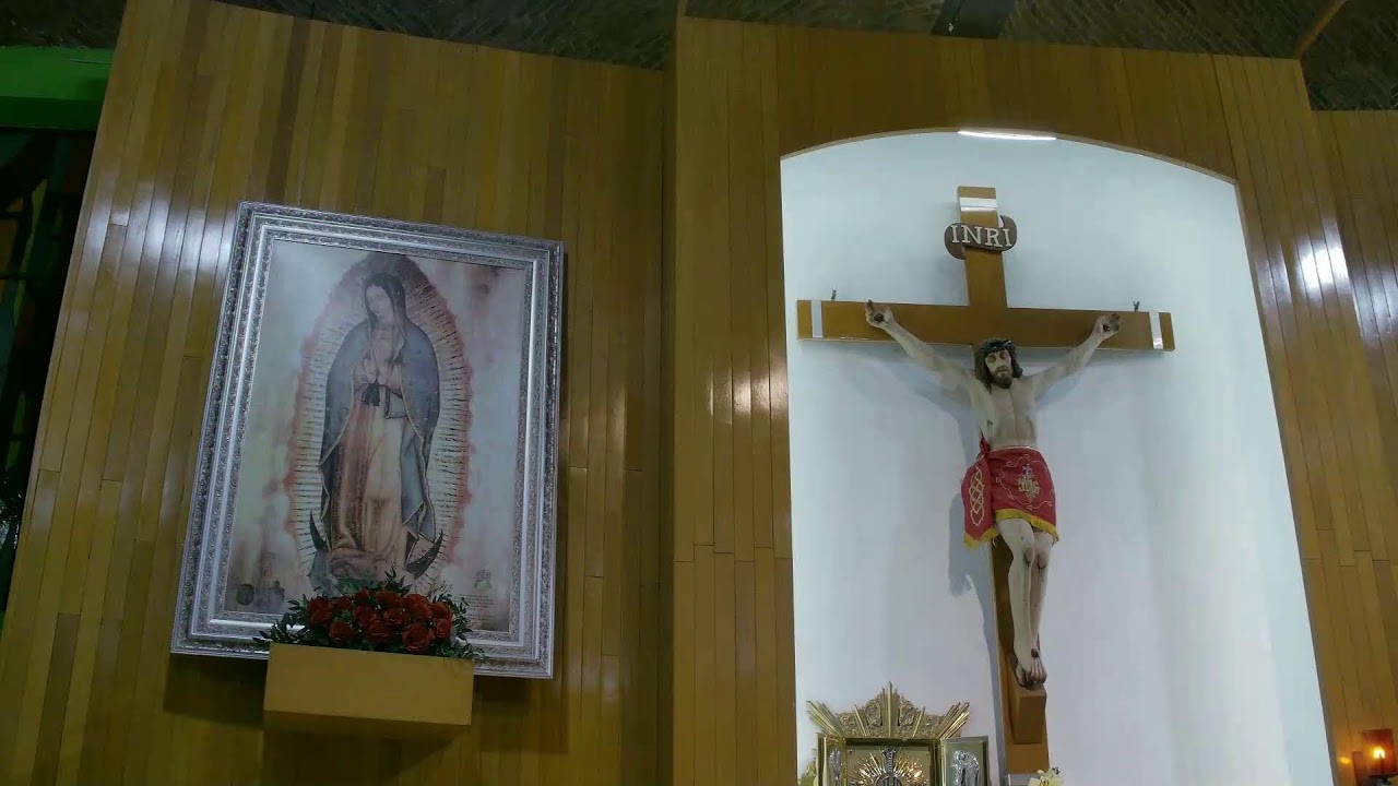 Santa Misa 2 Febrero 2026