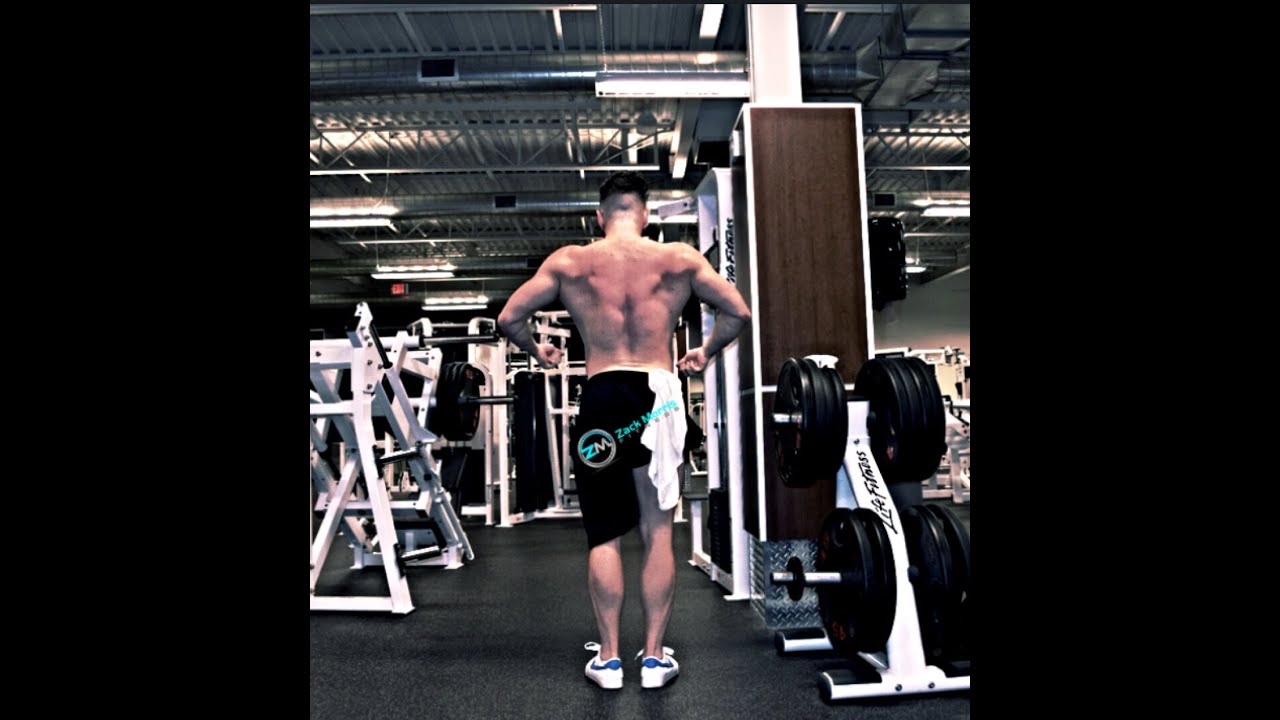 BACK WORKOUT FOR WIDTH!