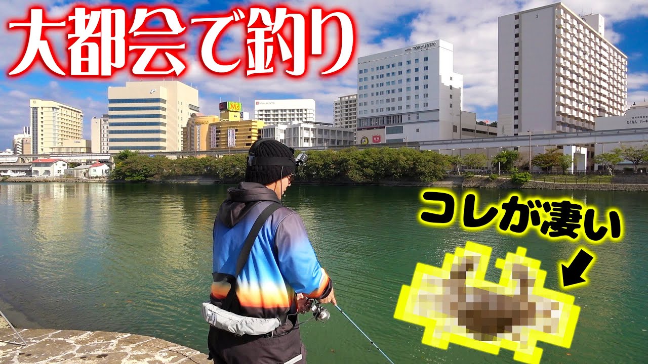 革命！大都会で餌を使わず〇〇を使うと！？