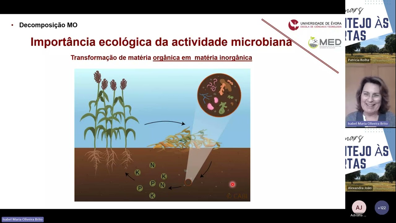 Microbioma do solo: sua importância e como o avaliamos | ALENTEJO ÀS QUARTAS