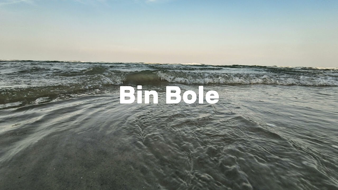 BIN BOLE
