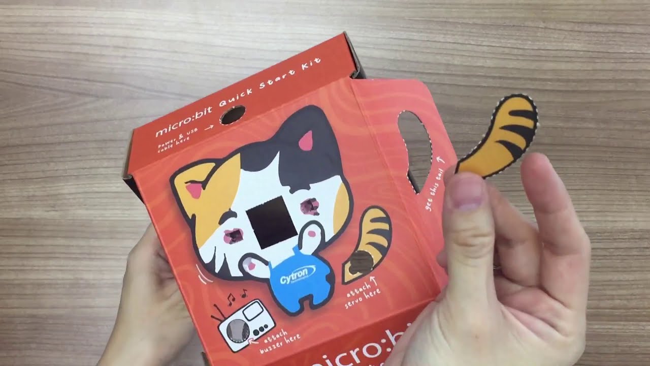 Introduction to micro:bit Quick Start Kit (Orange Cat)